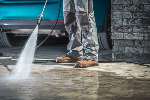 Best Winterizing Services  in Meadow Glade, WA