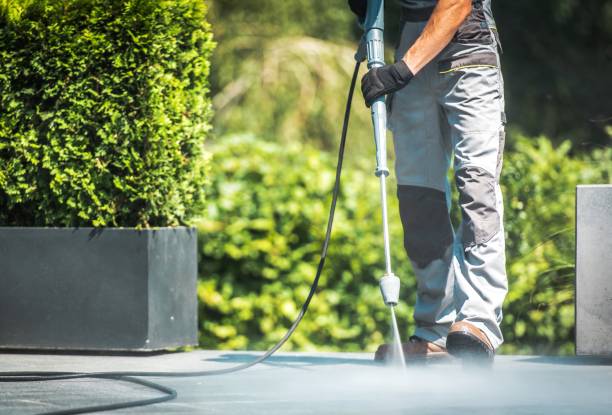 Best Warehouse Cleaning  in Meadow Glade, WA